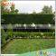Hot sale plastic outdoor Nature green wall Garden decoration plants artificial boxwood hedge artificial hedge fence