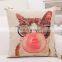 2016 Cat Pillow Decorative Throw Pillow Cushion Cover