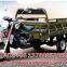 tricycle 150cc 175cc 200cc 250cc Africa middle east south asia hot sale gasoline tuktuk EV