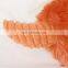 Wholesale New Manufactures Interactive Bulk Squeaky Plush Pet Dog Toys