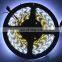 DC5V black PCB  144 Pixels  Individual Addressable WS2812B 5050 RGB Dream Color  LED Strip Light