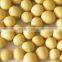 Organic soybeans