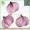 (CHINA OFFER ) Red Dried Onion /Fresh Onion