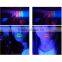 Sixplus custom lipstick tube packaging design matte liquid lipstick pure color essence lipstick