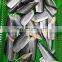 Good price Spanish mackerel fish fillet cuts IQF style