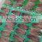 IQF head off tail off clean sardine fish fillet for processing