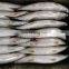 Good quality frozen spanish mackerel fish prices