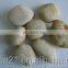 River stone , pebble stone for garden walkway