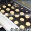 IndustrialPLC Control Cookie Moulder and Cake Filling Machine