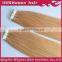Top Grade Silk Straight Brazilian Remy Virgin Tape Human Hair