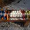 new product plastic snowball clip for winter sport