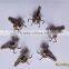 100Grain 5claws Archery Broadhead And Arrowhead For Hunting Pure Carbon Arrow
