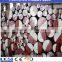 h13 w302 8407 from huangshi
