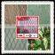 2016 new bird net for fruit tree, plastic bird protect netting, new hdpe plastic bird protection net
