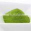 Healthy and High quality Japanese matcha green tea powder indigestible dextrin with multiple functions