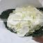 Diversified in packaging classical cheap price hydrangea flower