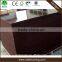 WBP melamine poplar laminated plywood 4x8 plywood