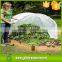 Non Woven Fruit Tree Covers/OEM Custmized PP Nonwoven Fabric/tnt Non-woven Banana/Grape Factory in China