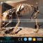 Artificial life size resin fiberglass horse skeleton