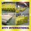 STS304L 1.4306 stainless steel line pipes