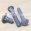 Good quality round head bolts DIN603 standard