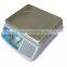 Electronic Counting Industrial Scale