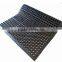 Interlocking Rubber hole mat