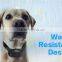 Iphone Portable Vibration Collar