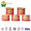 tomato paste to negeria 70gX50tins