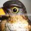Plastic falcon decoy