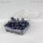 125 plastic blueberry boxes for packaging