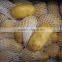 fresh sweet potato 10kg Ctn