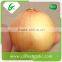 China cheap onion price