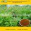 Valerian Root Powder Extract From GMP Certified Factory
