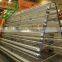 gl poultry cage for sales