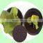 High grade natural microbial TE Fertilizer