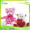 Valentine's Day Teddy Bear Plush Toy With Red Heart