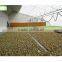 evaporative corrosion-resistant cellulose paper cooling pads