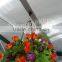 China supplier High quality decorative plastics recycled plant hangers