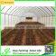 Hot Sale Commercial Plastic Tent Pests Net Design