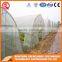2016 China Agriculture Farming Plastic Greenhouse