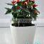 Artificial decorative pots with water level indicator