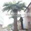 CHY020928 Artificial fake palm tree outdoor landscaping decoration