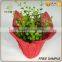high quality paper mesh plant pots wholesale