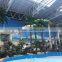 Royal coconut palm tree for indoor amusement park decoration