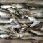 Factory Directly frozen sardinella With Bottom Price