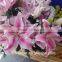 Good Quality Yellow Lily Flower Cut Fresh Lily from Kunming