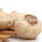 Superior quality good price China black garlic