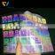 Dongguan Cheng Wei PET Material Heat Resistant Stretch Rainbow Reflective Heat Transfer Film