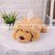Dog Car Tissue Paper Box Wholesale